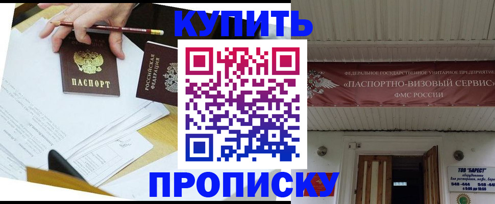 временная регистрация для всех в Алейске